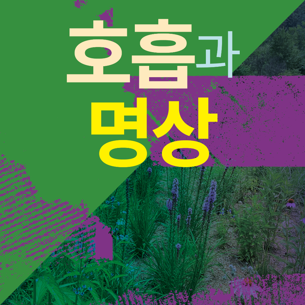 수업 이미지